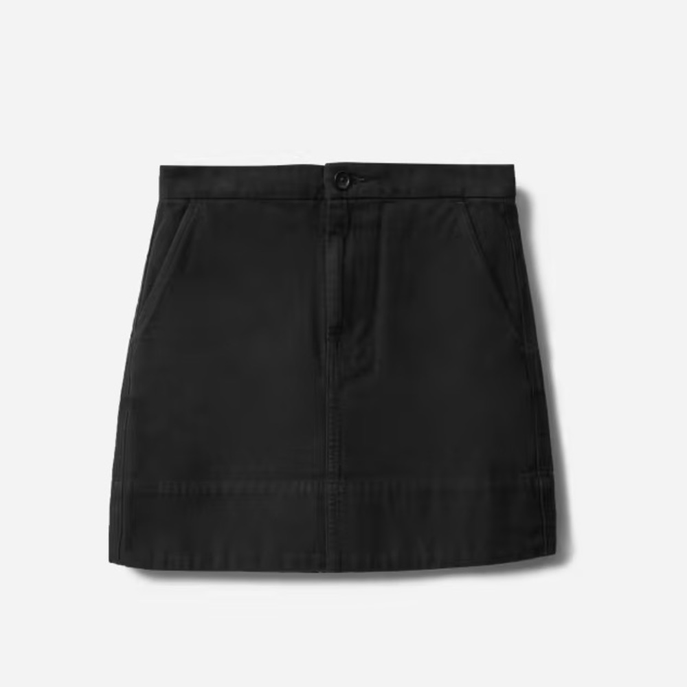 Everlane Black Canvas Mini Skirt